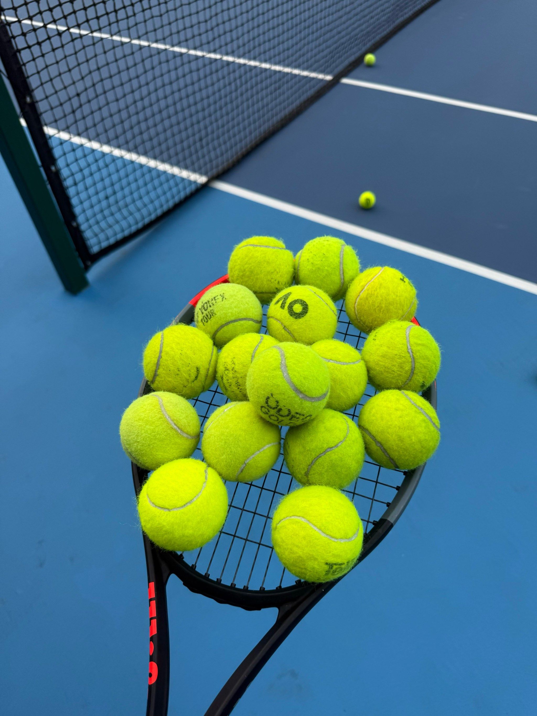 了新的发展 了新的发展