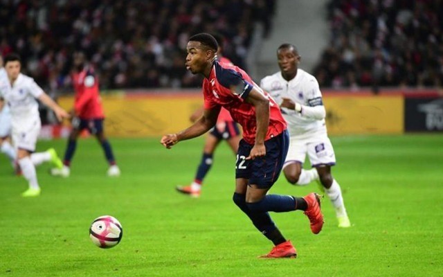 湖人专家 湖人专家